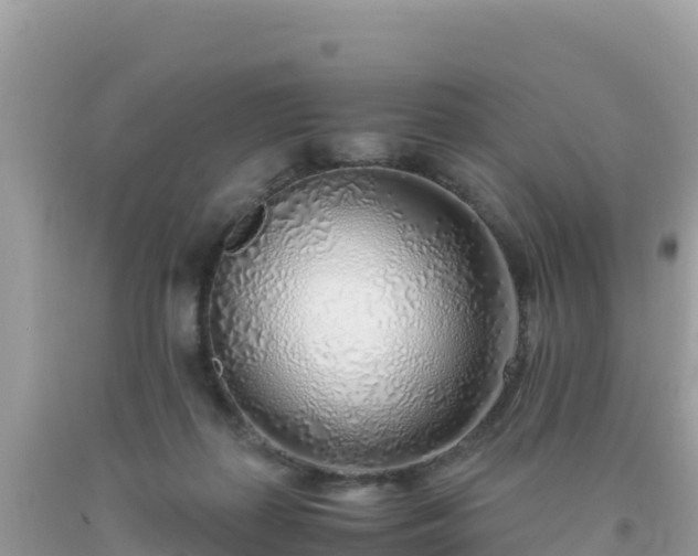 X0000093770267200710231318