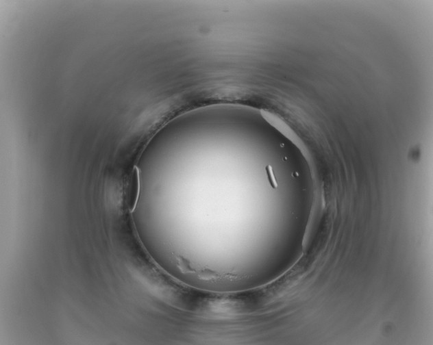 X0000093770268200710231318