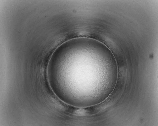 X0000093770269200710231318