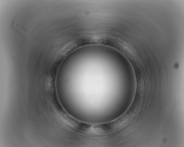 X0000093770270200710231318