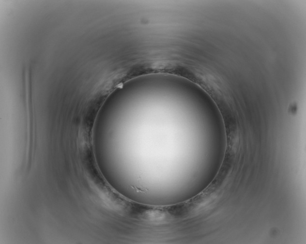 X0000093770272200710231318