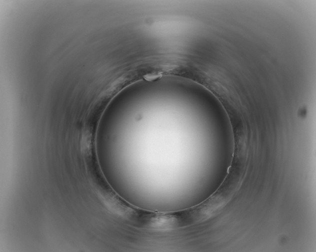 X0000093770274200710231318