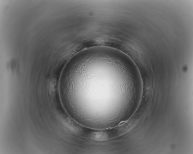 X0000093770275200710231318