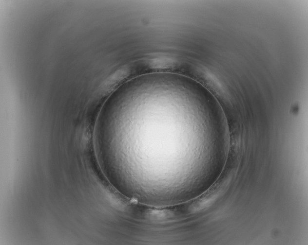 X0000093770277200710231318