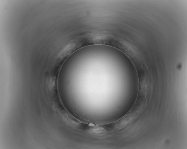 X0000093770278200710231318