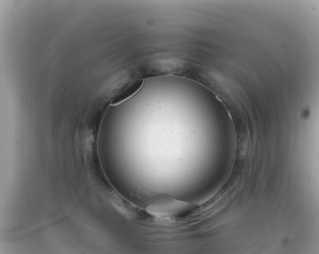 X0000093770279200710231318