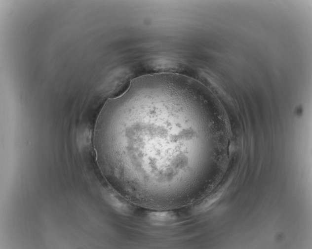 X0000093770281200710231318