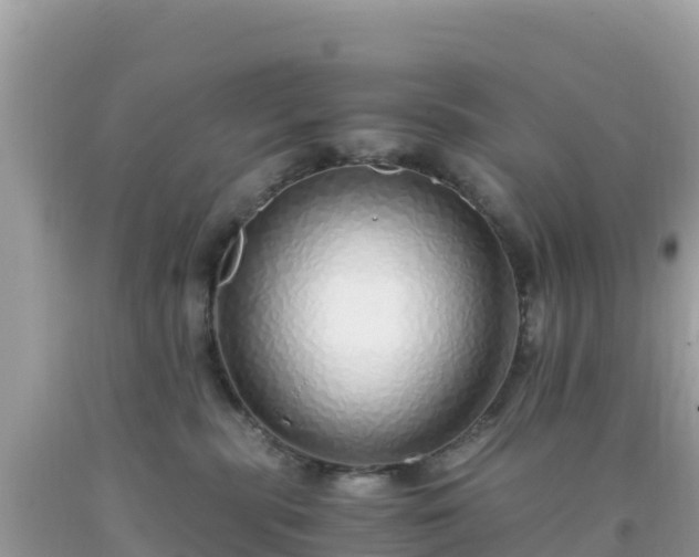 X0000093770283200710231318