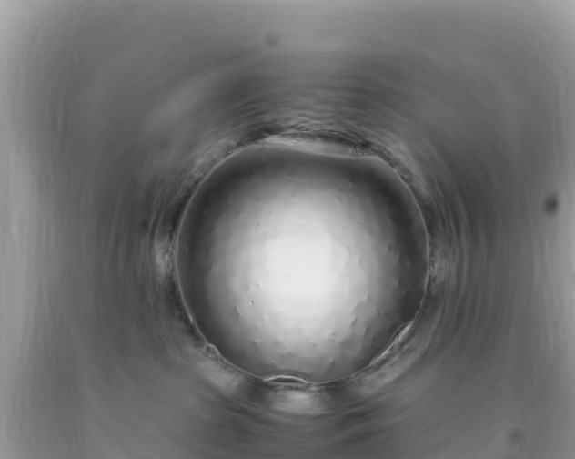 X0000093770285200710231318