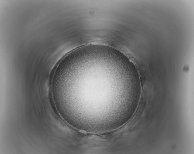 X0000093770290200710231318