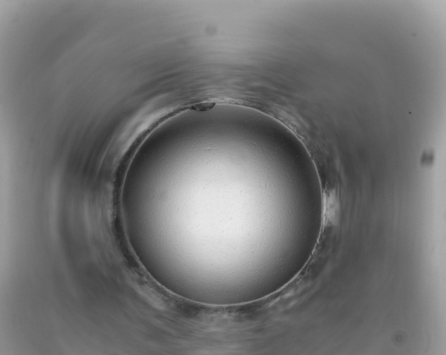 X0000093770291200710231318