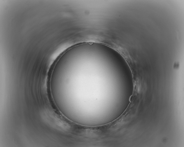 X0000093770292200710231318