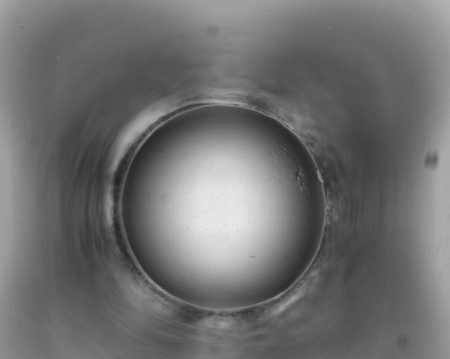 X0000093770294200710231317