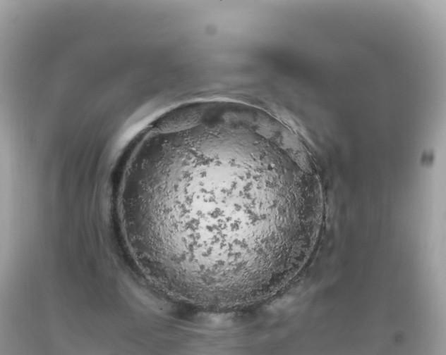 X0000093770295200710231317