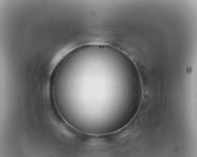 X0000093770296200710231317