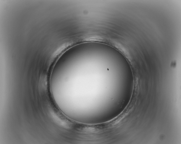 X0000093770298200710231317