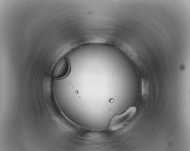 X0000093770300200710231317