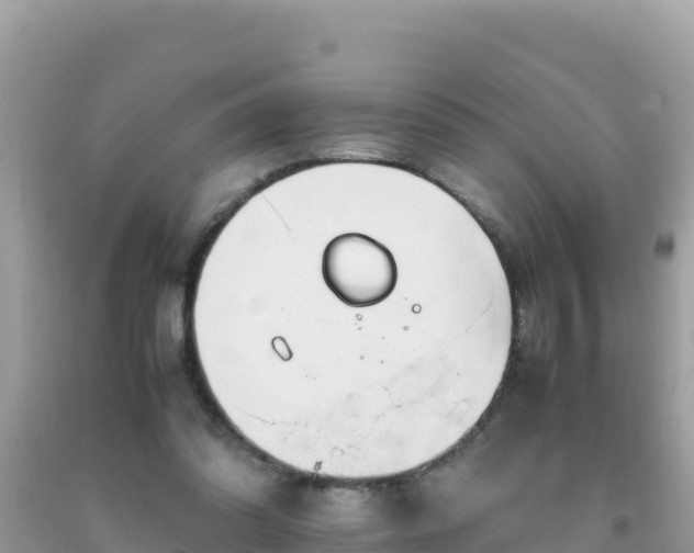 X0000093770302200710231317