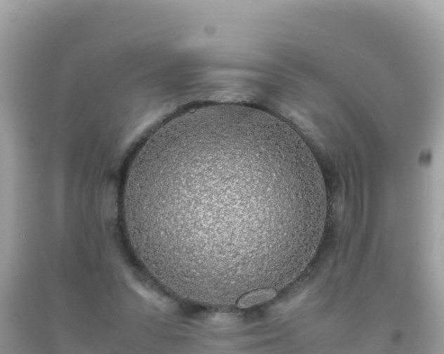 X0000093770303200710231317