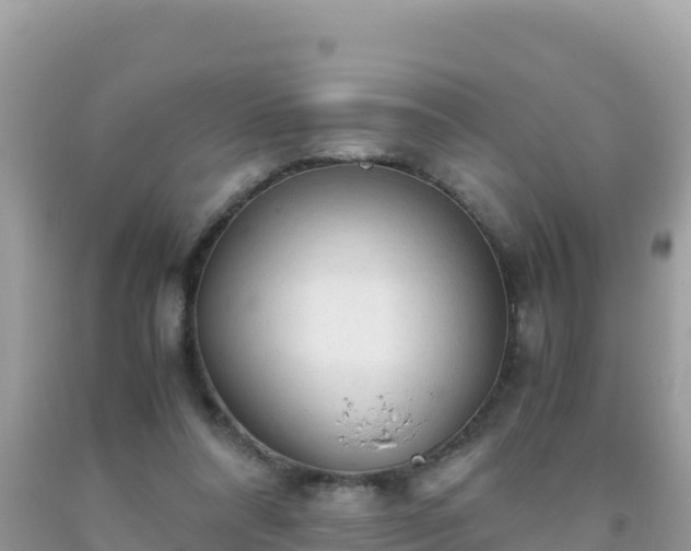 X0000093770304200710231317