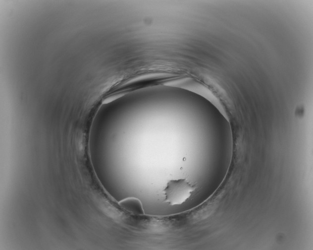 X0000093770305200710231317