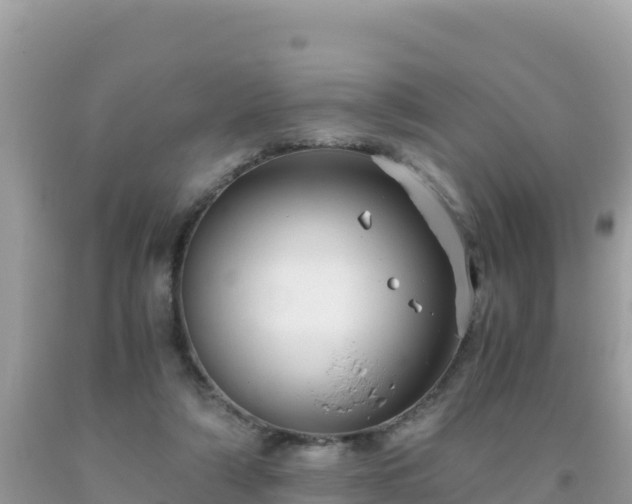 X0000093770306200710231317