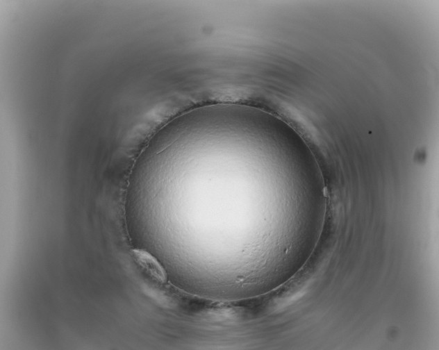 X0000093770307200710231317