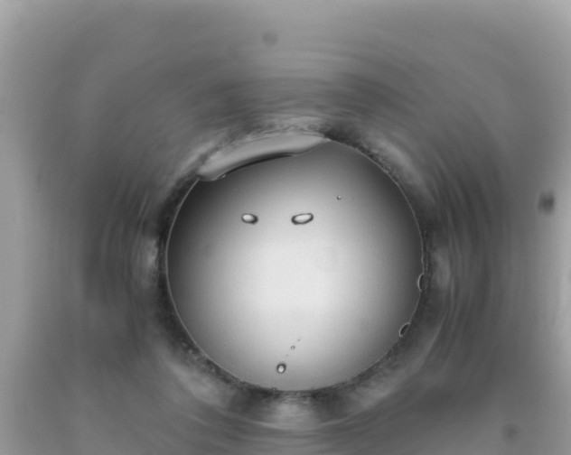 X0000093770308200710231317