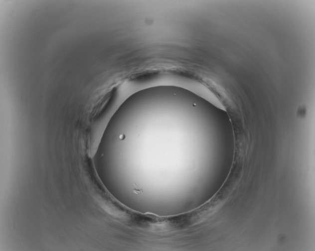 X0000093770309200710231317