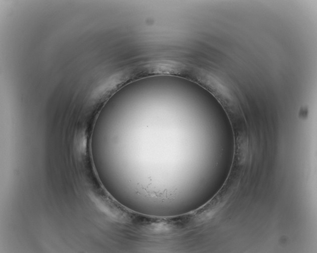 X0000093770310200710231317