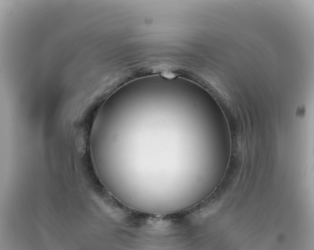 X0000093770311200710231317