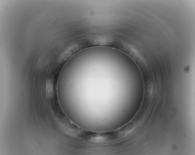 X0000093770312200710231317