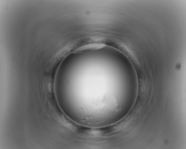 X0000093770313200710231317