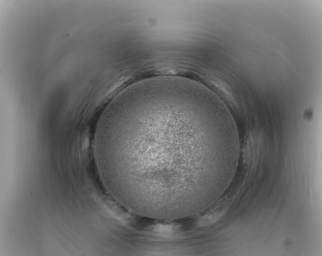 X0000093770314200710231317