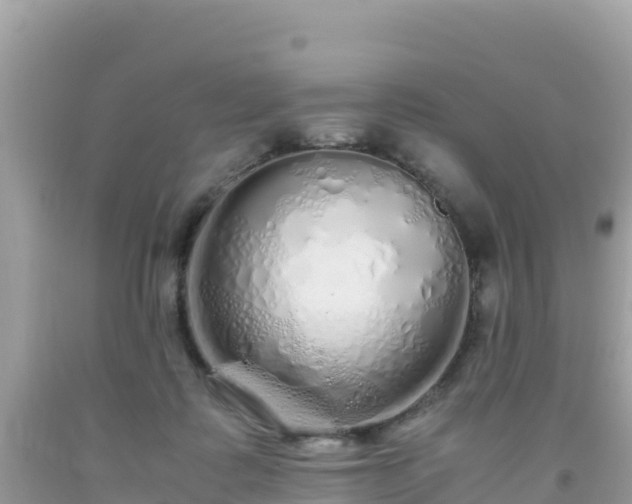 X0000093770315200710231317