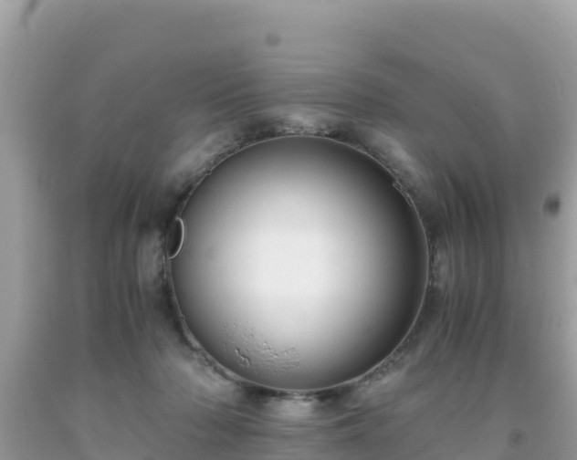 X0000093770318200710231317