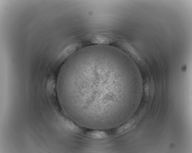 X0000093770322200710231317