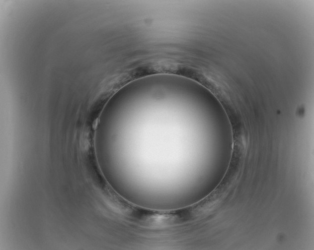 X0000093770323200710231317