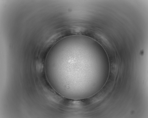 X0000093770324200710231317