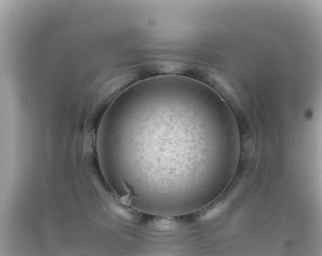 X0000093770325200710231317