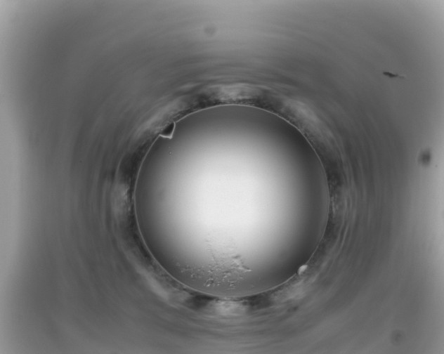 X0000093770327200710231317