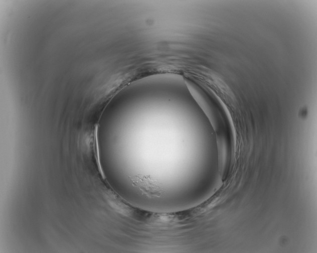 X0000093770329200710231317