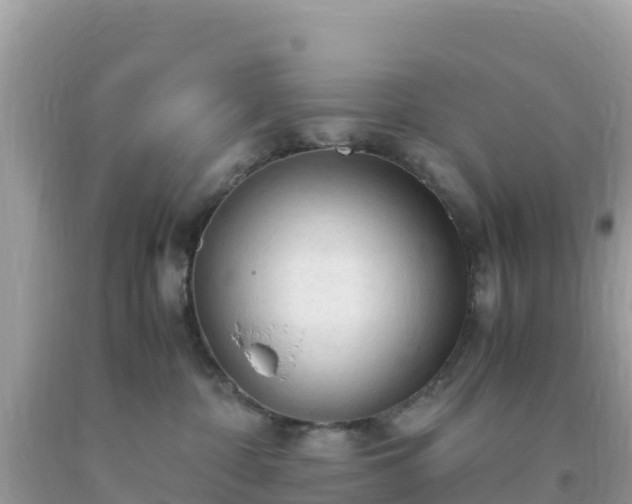 X0000093770332200710231317