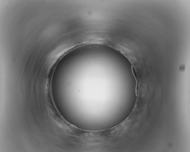 X0000093770338200710231316