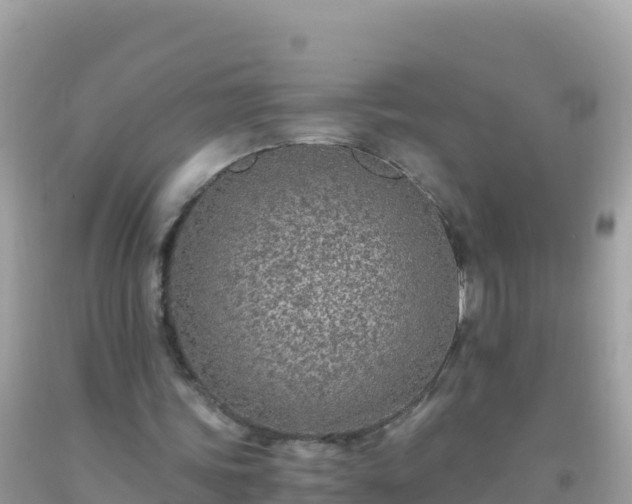 X0000093770339200710231316