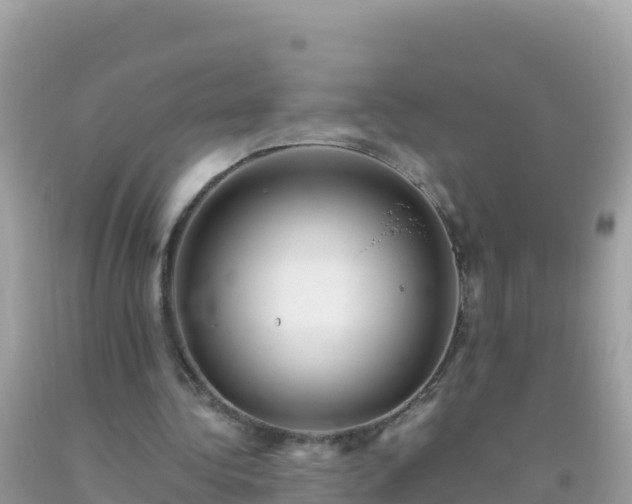 X0000093770340200710231316