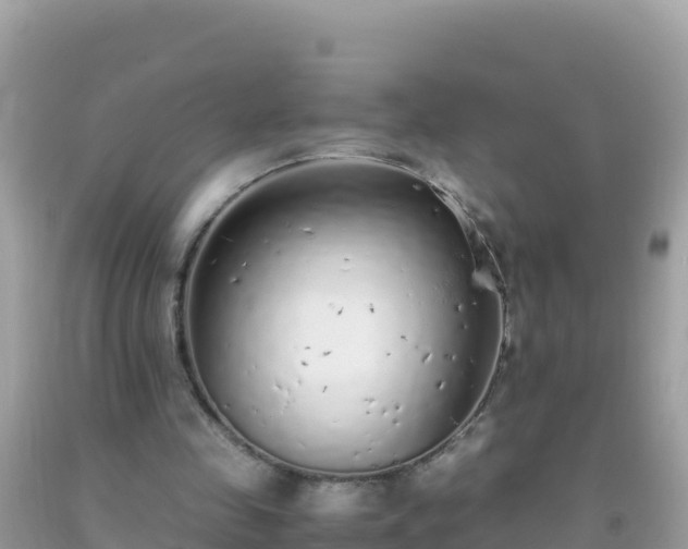 X0000093770341200710231316