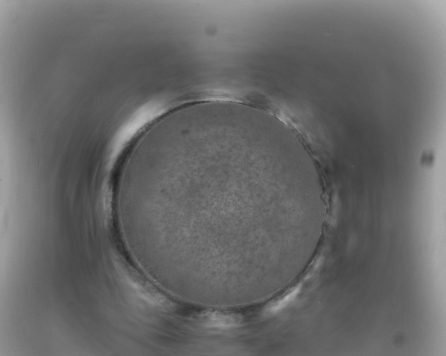 X0000093770343200710231316