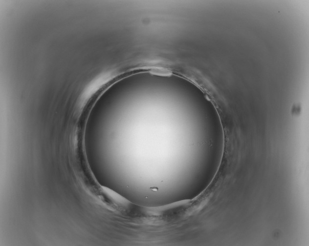 X0000093770344200710231316