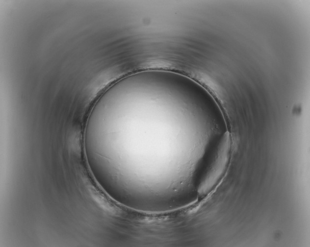 X0000093770345200710231316